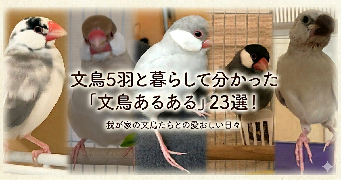 文鳥5羽と暮らして分かった「文鳥あるある23選」！　〜餅から高速パクパクまで〜